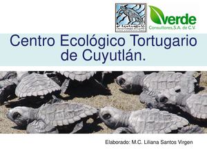 Centro Ecológico de Cuyutlán "Tortugario"