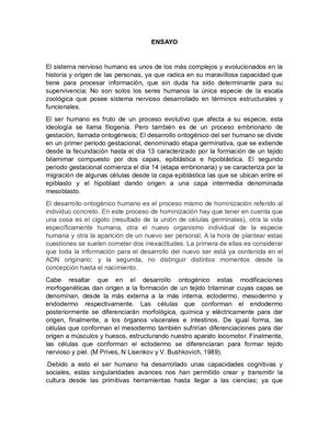 Ensayo Desarrollo Ontogenico