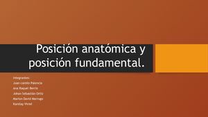 Posición Anatómica Y Posición Fundamental