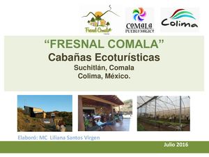 Fresnal Comala Cabañas 2016
