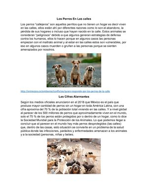 Los Perros En Las Calles