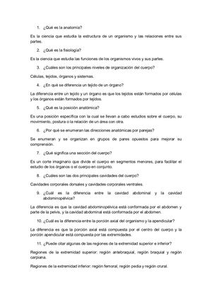 Qué Es La Anatomía