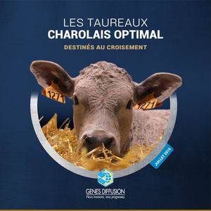 Catalogue Muscularité Précoce 2019/2020