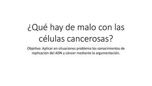 Replicacion Y Cancer