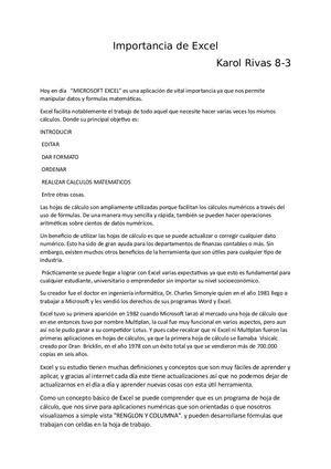 Importancia De Excel