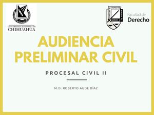 Audiencia Preliminar