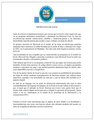 Importancia De Excel Luz 8-5