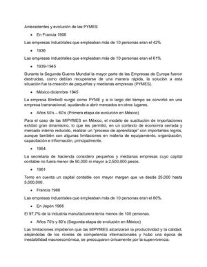 Antecedentes Y Evolución De Las Pymes