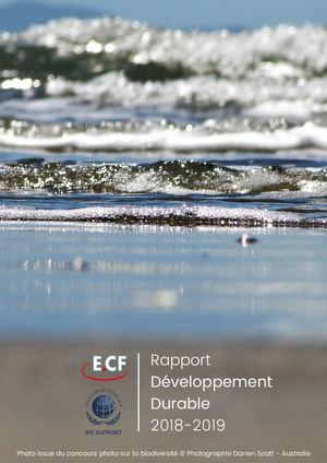 Rapport Dd 2018 2019