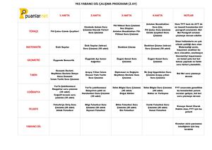 YKS YABANCI DIL CALISMA PROGRAMI-(2 AY).pdf