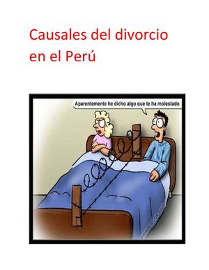 Causales Del Divorcio En El Perú