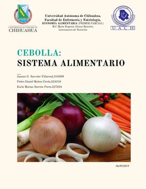 Trabajo Final Cebolla