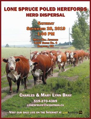 Lone Spruce Herd Dispersal Catalogue