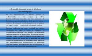 Es Posible Disminuir La Tala De áRboles Si Reciclamos Papel