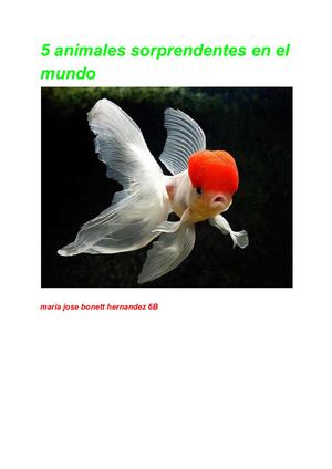 5 animales sorprendentes en el mundo