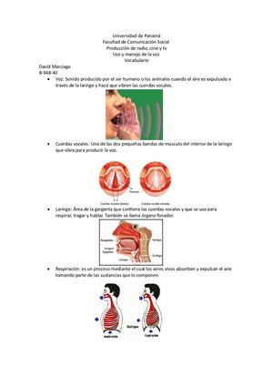 Uso Y Manejo De La Voz