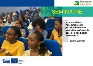 Synthese Seminaire : Le montage, l’exécution et la justification d’une opération cofinancée par le Fonds Social Européen