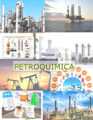 Revista De Petroquimica