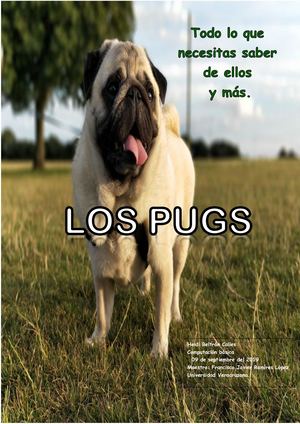 Revista Pugs