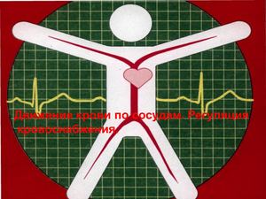 Движение крови по сосудам