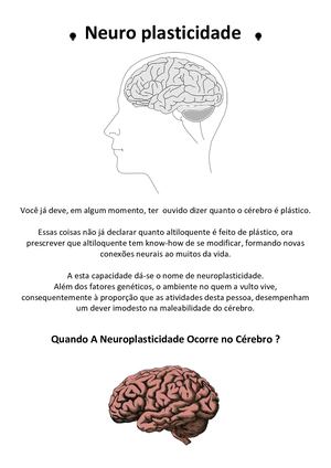 Neuro Plasticidade Do Cérebro Pdf