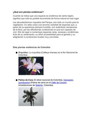 Plantas Endémicas (1)