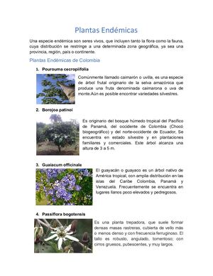 Plantas Endémicas