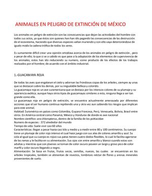 10 Animales En Peligro De Extinción De México