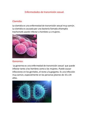 Enfermedades De Transmisión Sexual Arteaga Ashley