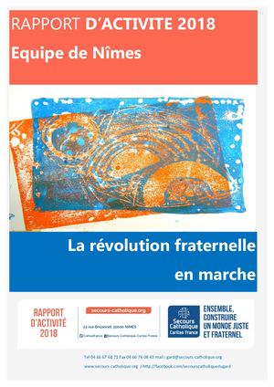 Rapport D'activite 2018 Equipe De Nimes