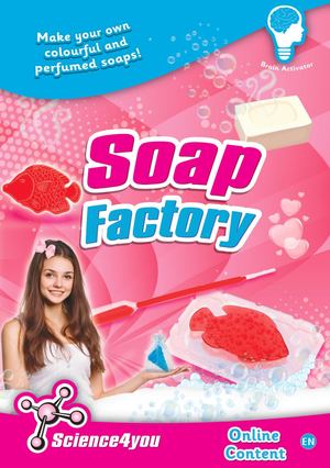 Manual Online Fabrica De Sabonetes En V3