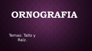 Anatomia Tallo Y Raiz