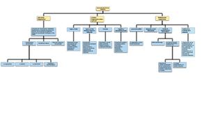 Ejemplo De Organigrama