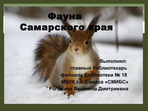 Фауна Самарского края