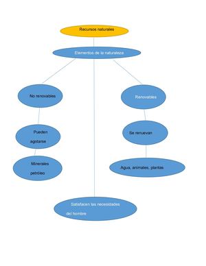 Mapa Conceptual Recursos Naturales Javier Peña