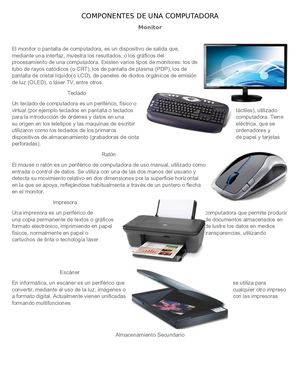 Componentes De Una Computadora