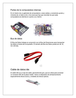 Partes De La Computadora Internas
