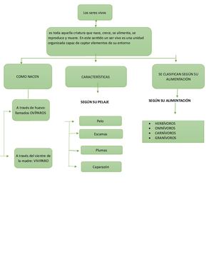 Mapa Conceptual Seres Vivos