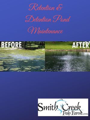 Retention & Detention Pond Maintenance-smithcreekfishfarm.com