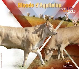 Catalogue Blonde d'Aquitaine 209-2020