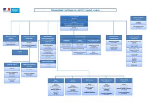 Organigramme Institut français du Liban