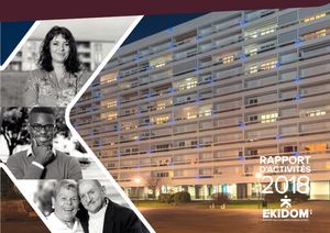 Rapport d'Activite Ekidom 2018
