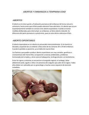 Abortos Y Embarazos A Temprana Edad