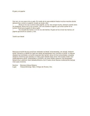 El Gato Y El Pajarito