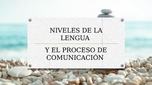 Niveles De La Lengua