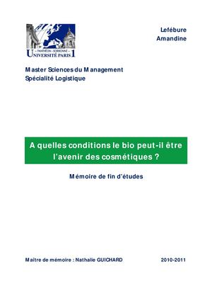 MASTERLOG P13 MEMOIRE 2011 - LEFEBURE Amandine