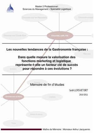 MASTERLOG P13 MEMOIRE 2011 - LLOPIS BETORET Sarah