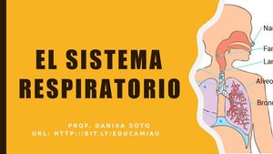 El Sistema Respiratorio, Quinto Básico - Unidad 3, CCNN (Prof. Danixa Soto)