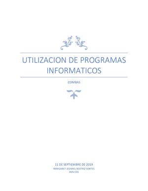 utilización de programas informáticos