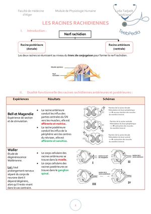 Racines Rachidiennes (Résumé Lydia Tadjadit).